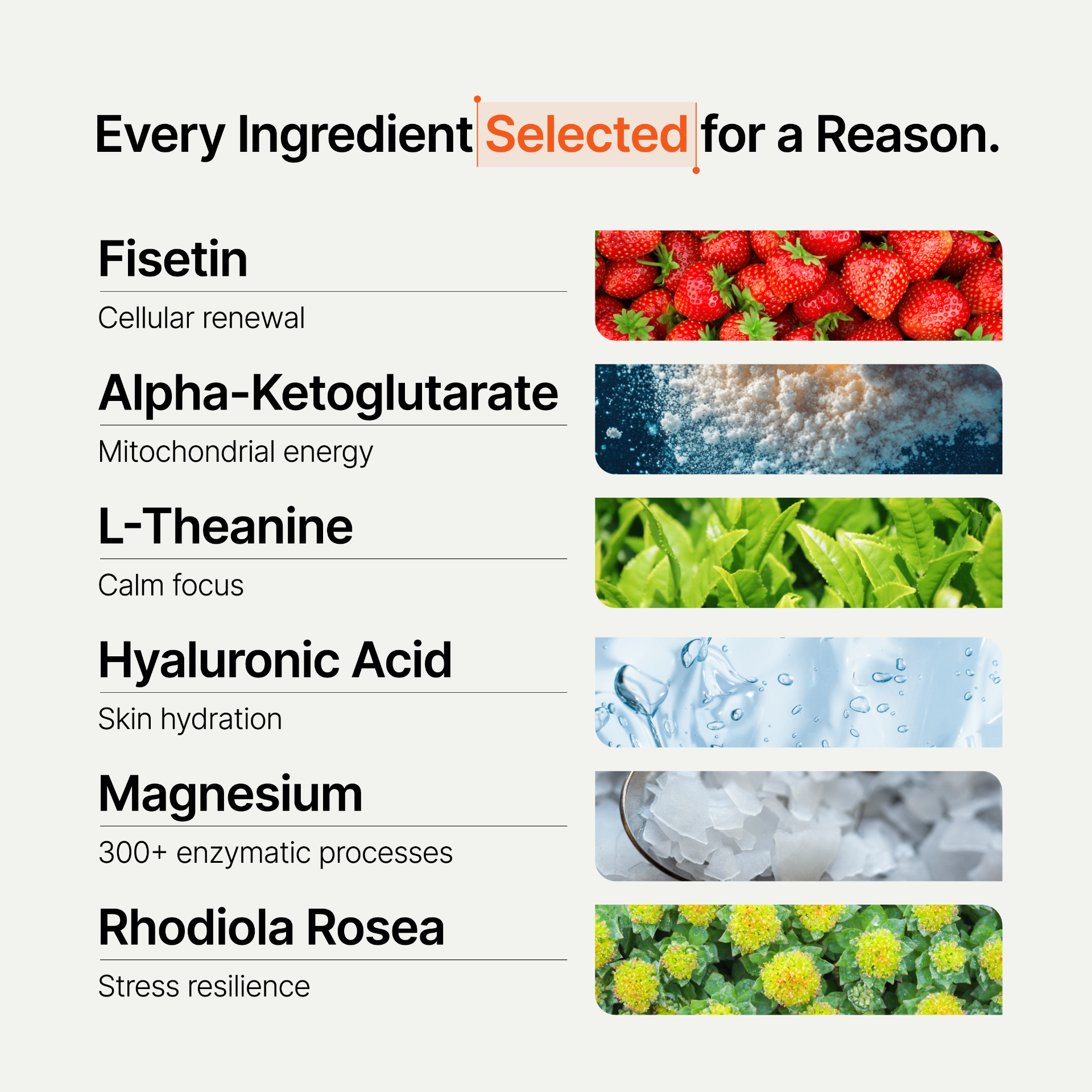 Every ingredient selected for a reason