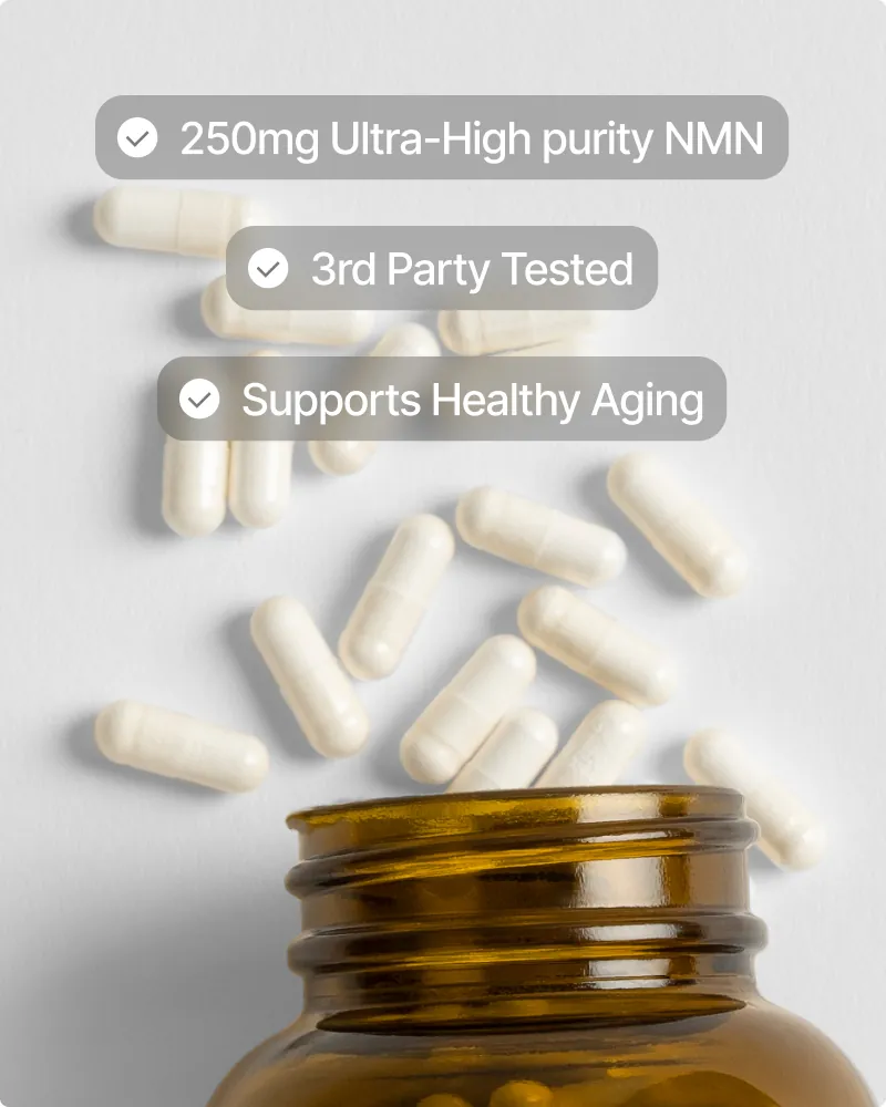 NOVOS Boost product image from the current product page