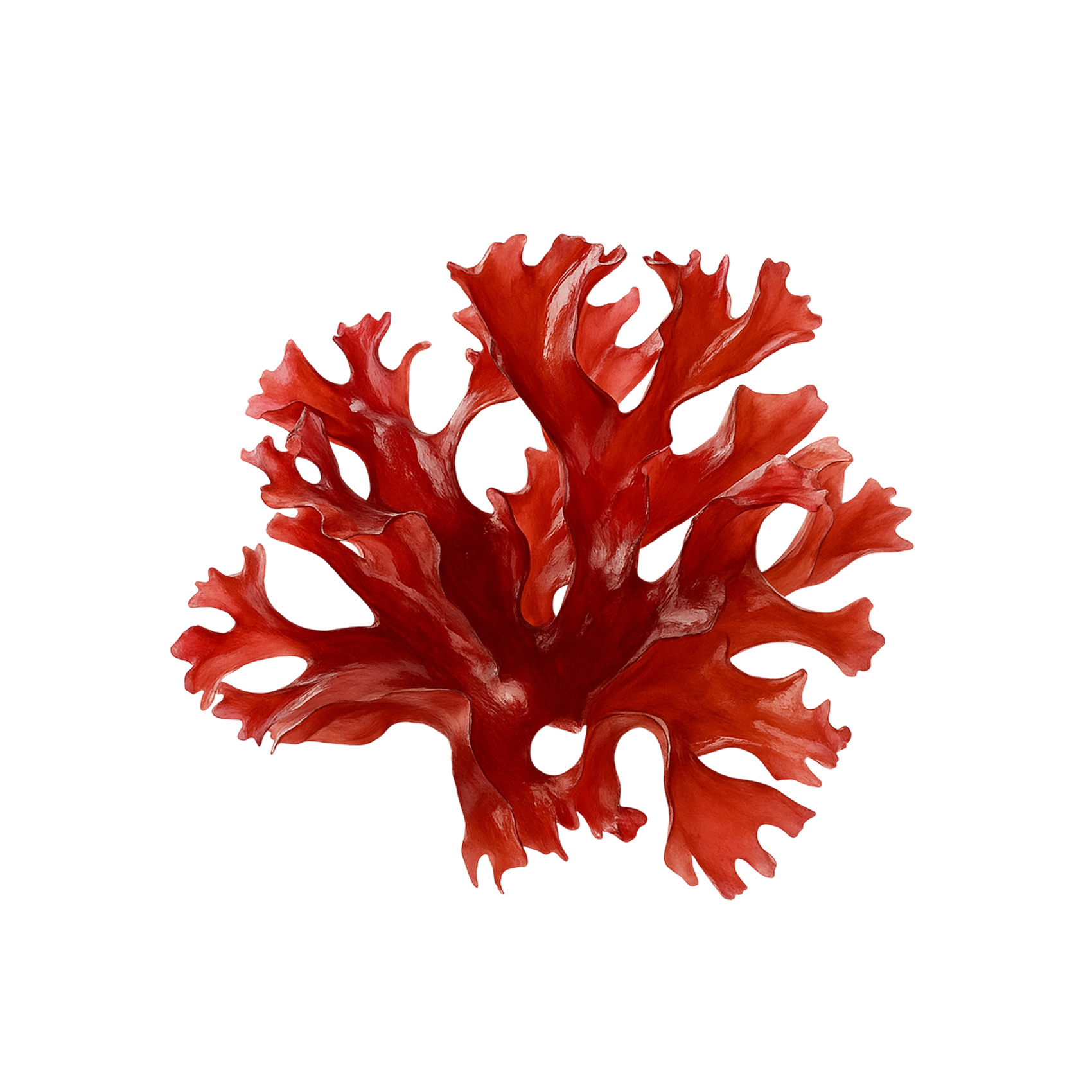 Astaxanthin