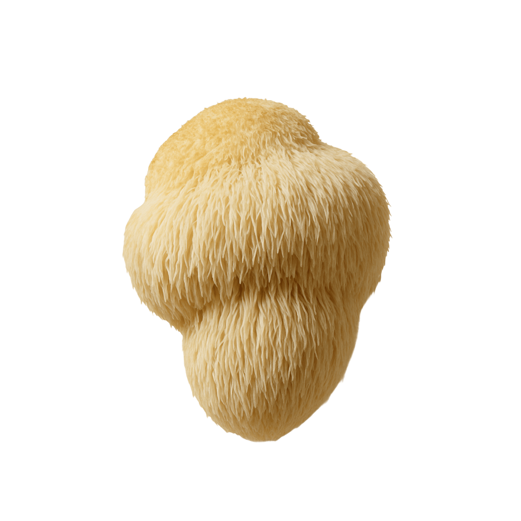 Functional mushrooms
