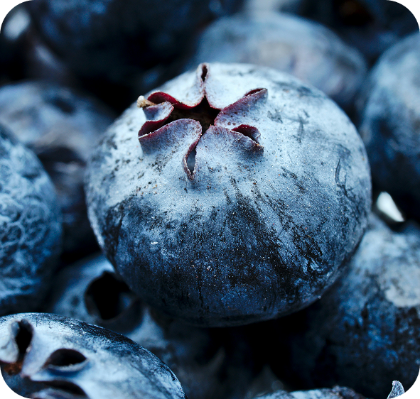 Fresh blueberries, a natural source of pterostilbene