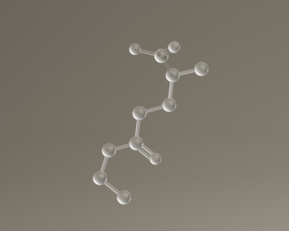 Molecular model of L-Theanine