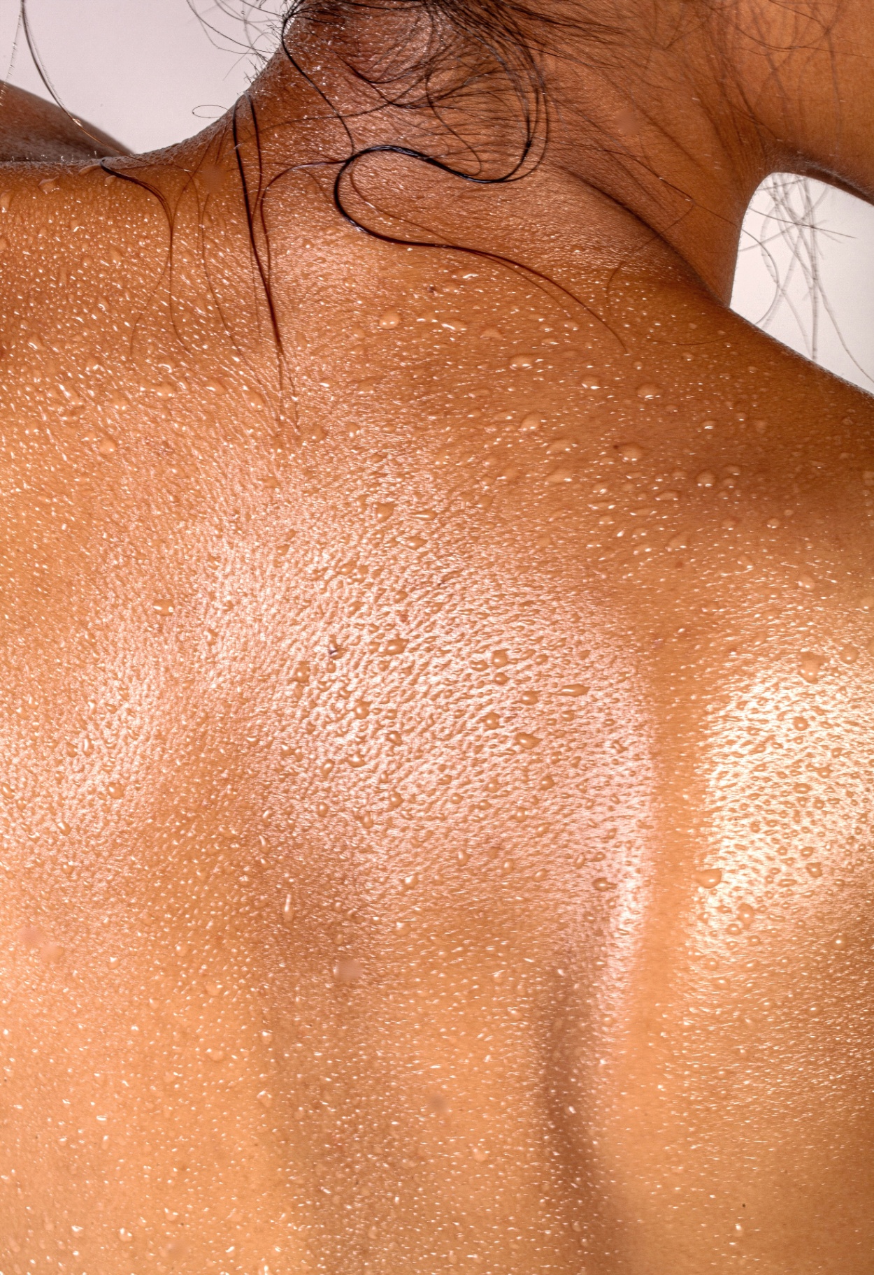 Artistic visualization of skin extracellular matrix